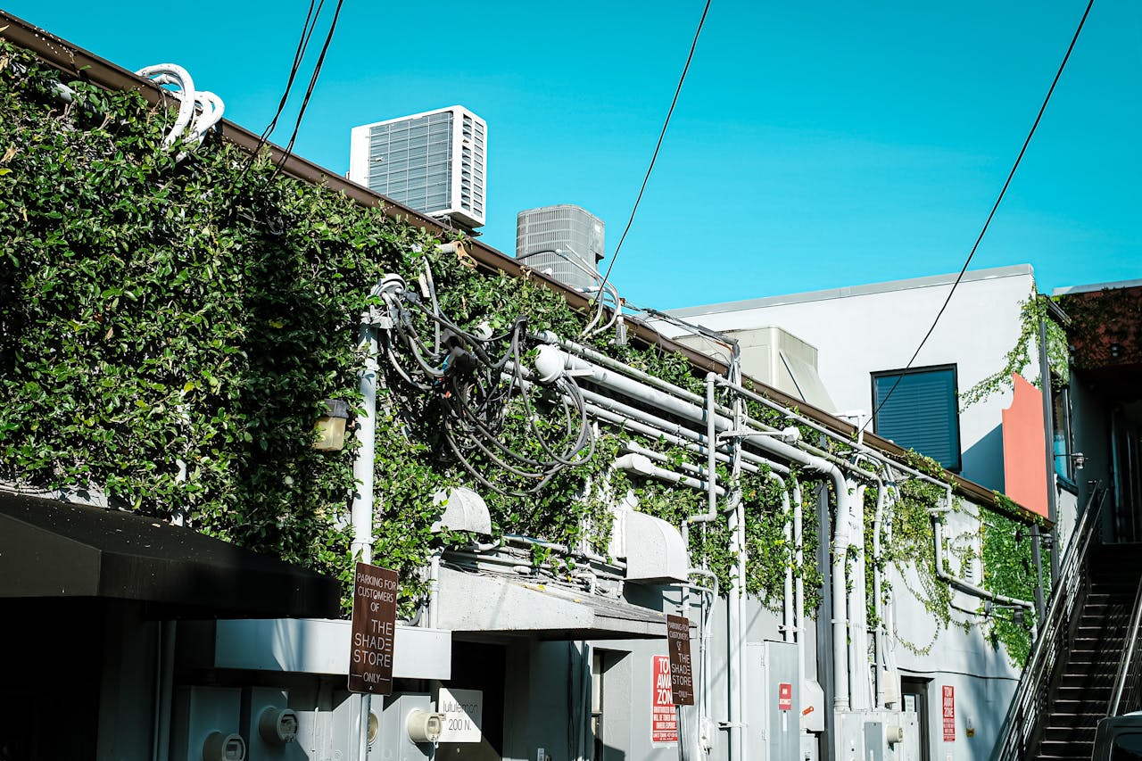 Building side covered in greenery with electrical cables in an urban setting, Orlando, FL.